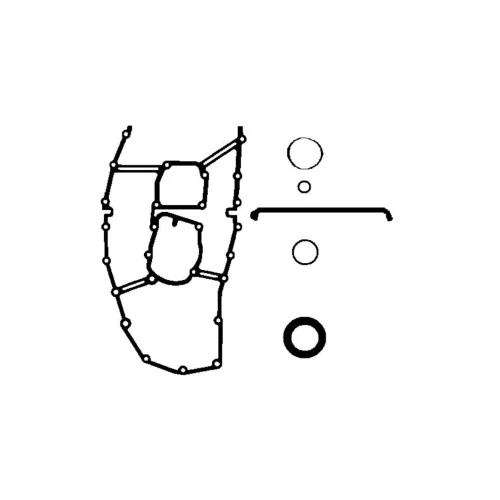 Gasket Set, timing case (Engine Timing)
