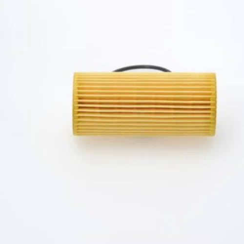 Oil Filter (Lubrication)