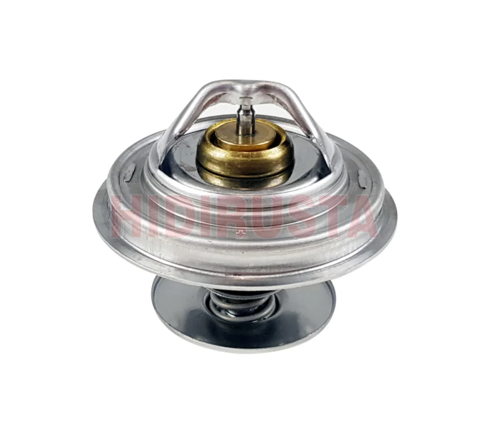Thermostat 79 C