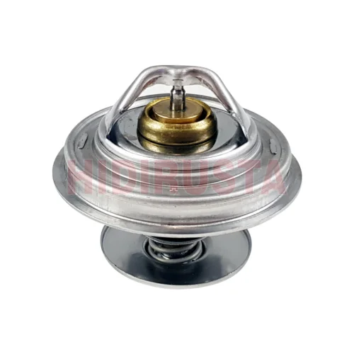 Thermostat 79 C