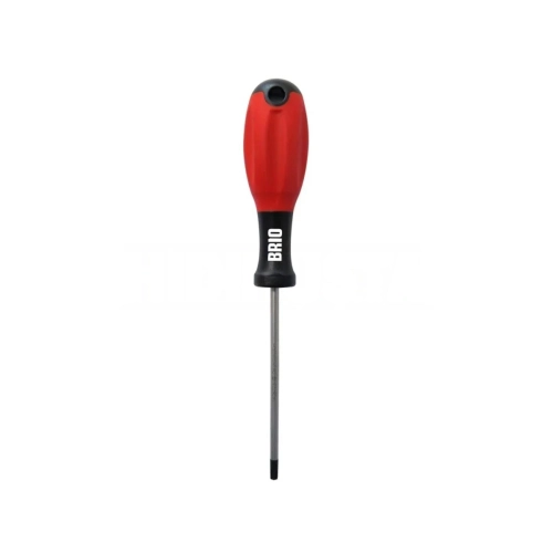 Torx Screwdriver T25