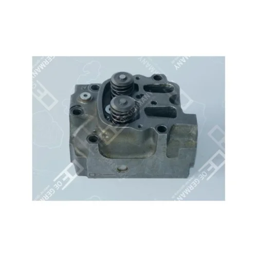 Cyl. Head With Valves