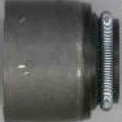 Seal Ring, valve stem
