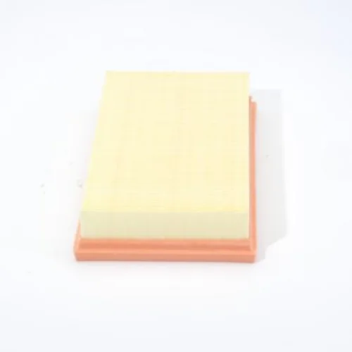 Air Filter (Air Supply)