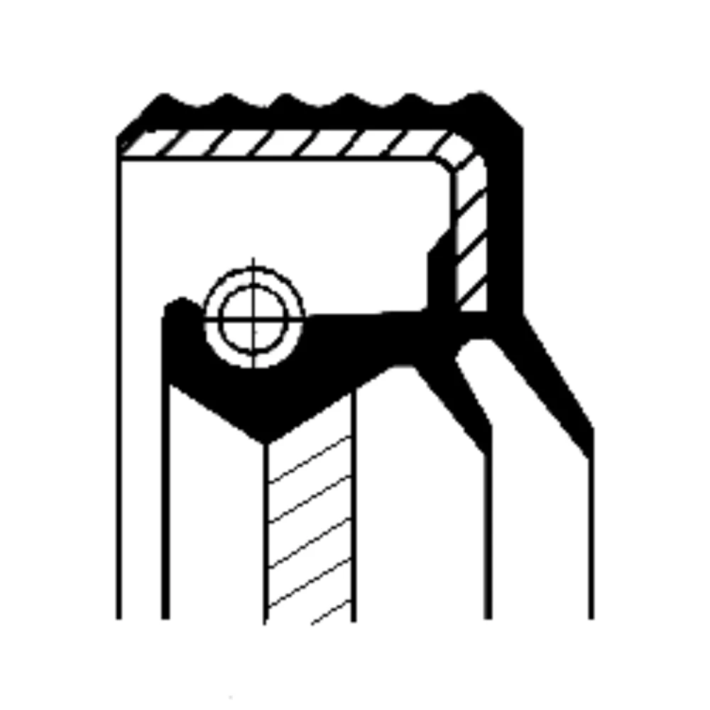 Oil Seal