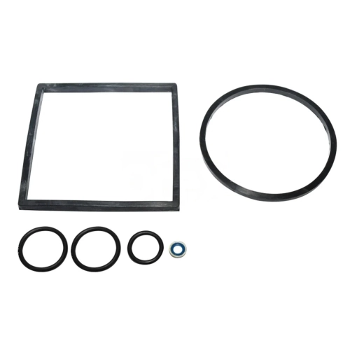 Seal, Fuel Filter