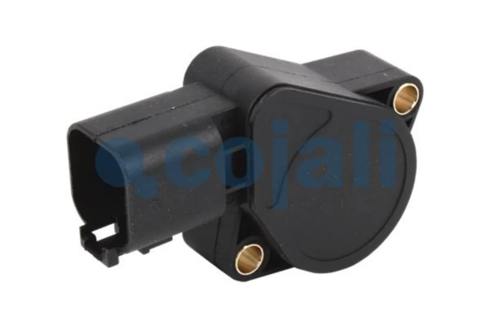 Accelerator Pedal Sensor