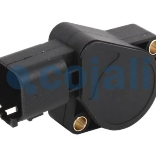 Accelerator Pedal Sensor