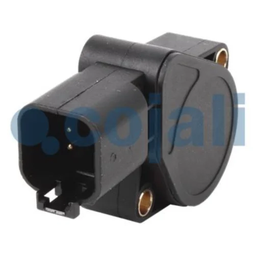 Accelerator Pedal Sensor