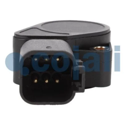 Accelerator Pedal Sensor