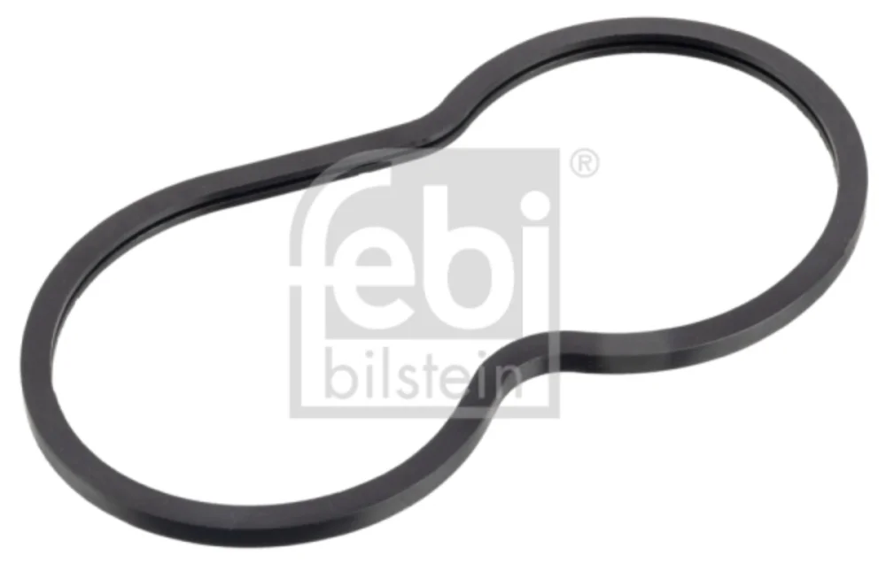 Gasket, Thermostat Housing