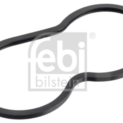 Gasket, Thermostat Housing