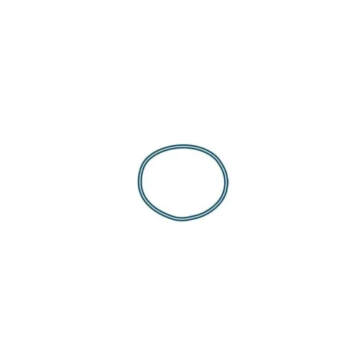 Oring Kit