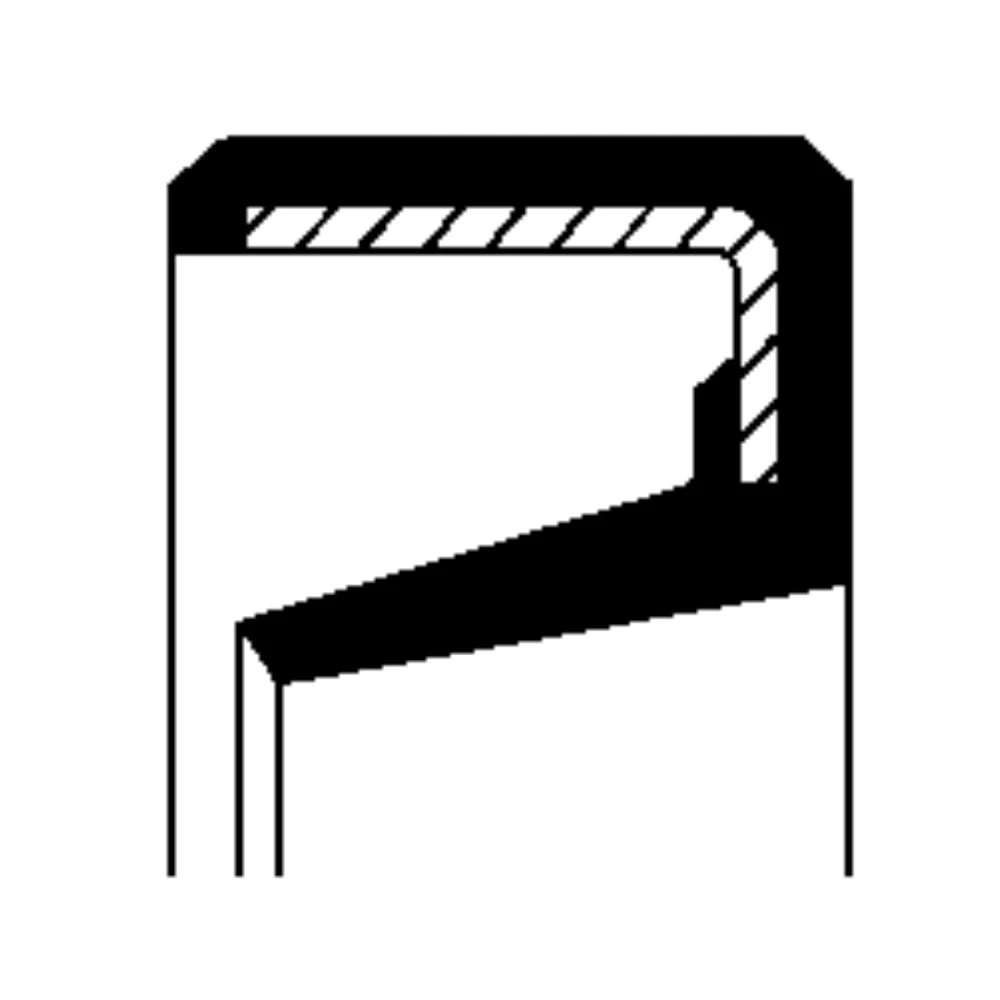 Oil Seal
