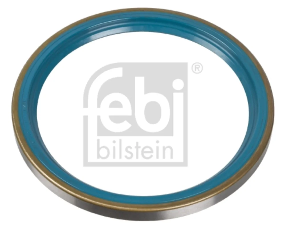 Shaft Seal, wheel hub (Wheel Suspension)
