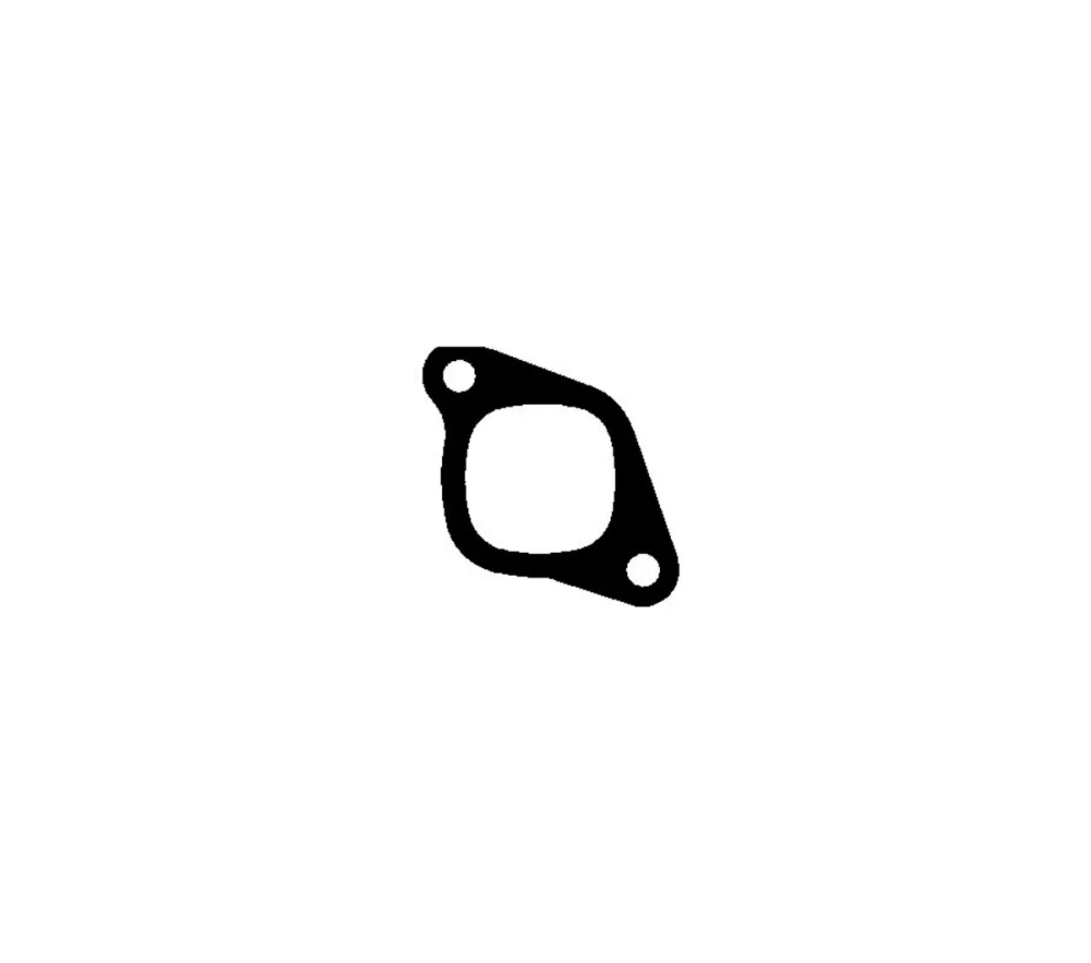 Gasket, exhaust manifold (Cylinder Head)