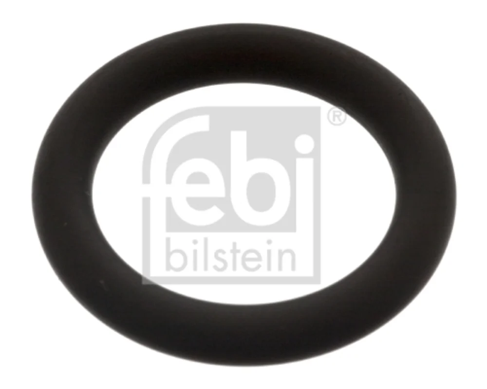 O-Ring